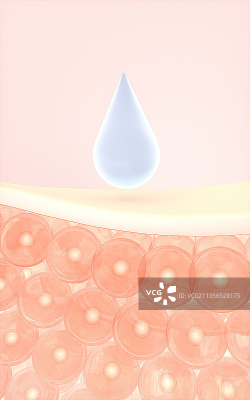 皮肤细胞与吸收的液滴 3D渲染图片素材