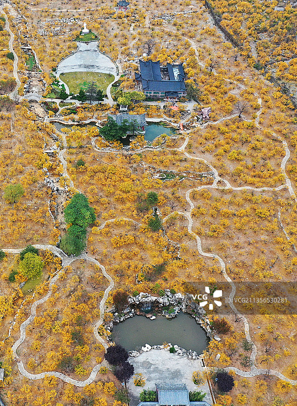 山东枣庄峄城区冠世榴园秋景图片素材
