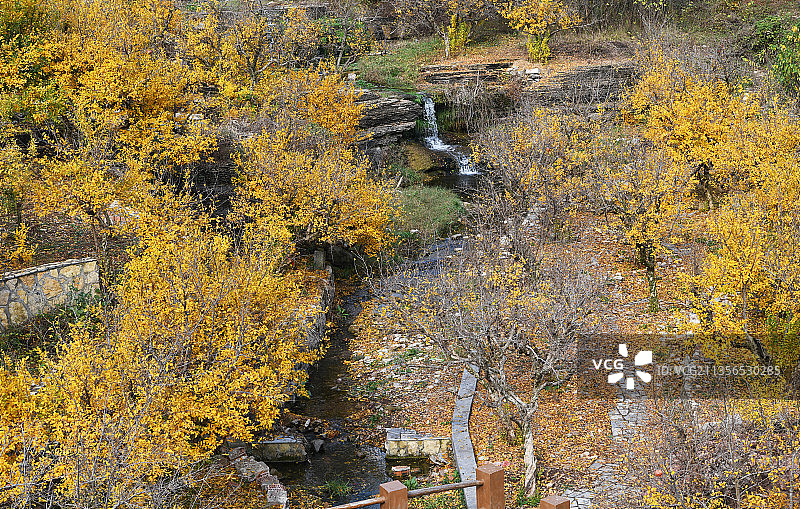 山东枣庄峄城区冠世榴园秋景图片素材