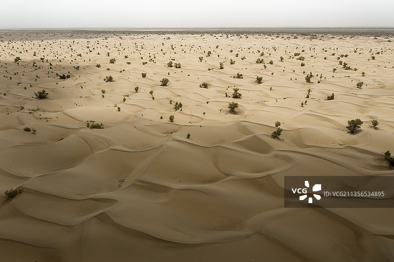 塔克拉玛干沙漠图片素材