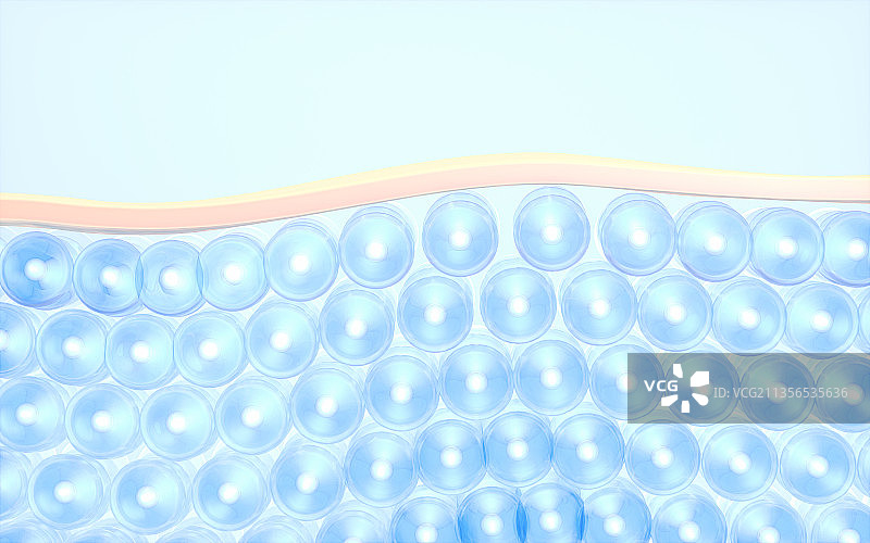 生物皮肤细胞 3D渲染图片素材