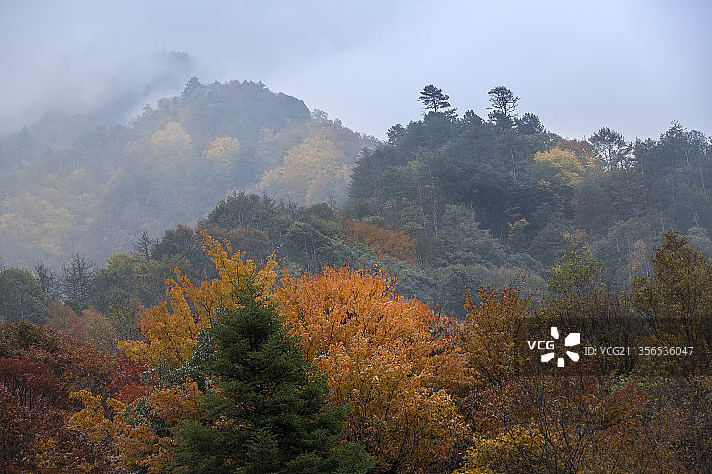 秋山图片素材