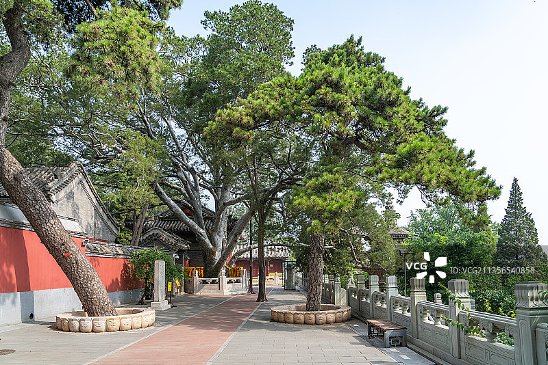 夏天北京戒台寺建筑风光图片素材