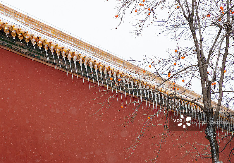 故宫 雪图片素材