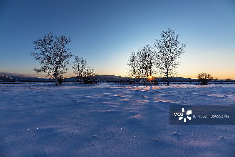 落日扫下树影，投射在亮晶晶的冰雪上。图片素材