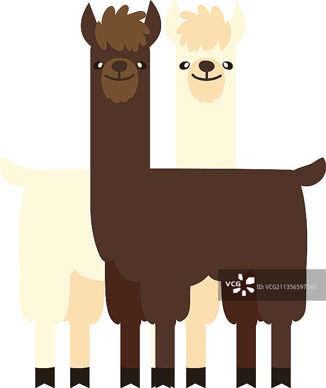 卡通美洲驼动物图片素材