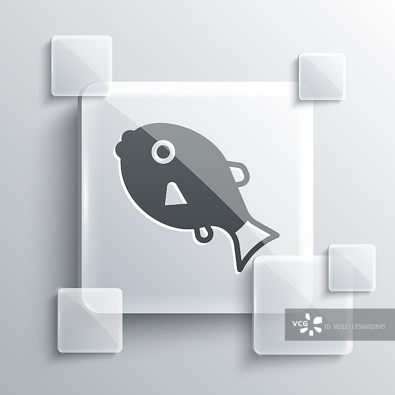 灰色背景上的灰色热带鱼图片素材