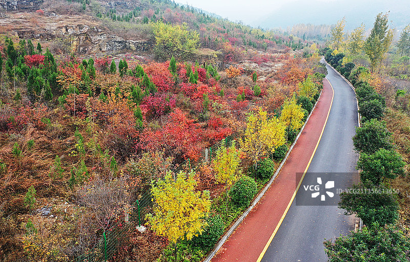 山东枣庄凤凰绿道沿线秋景如画图片素材
