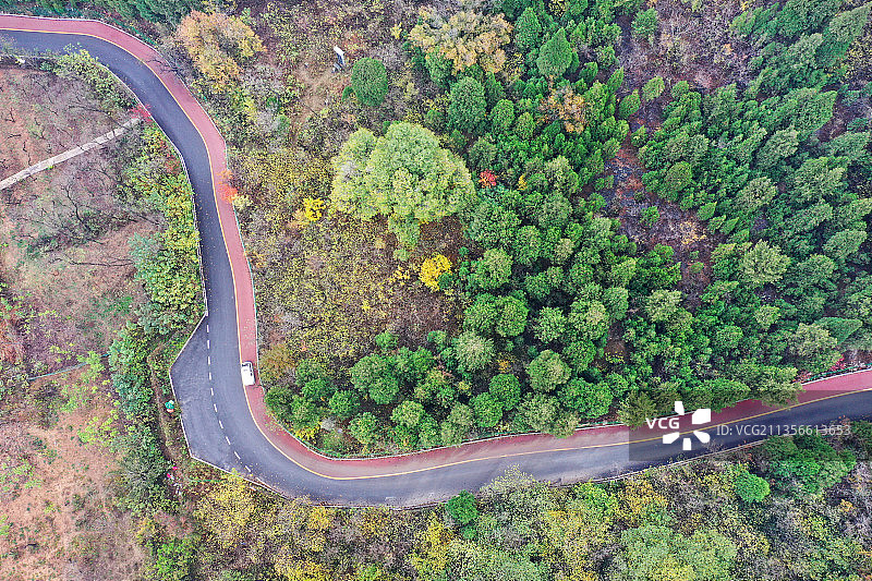 山东枣庄凤凰绿道沿线秋景如画图片素材
