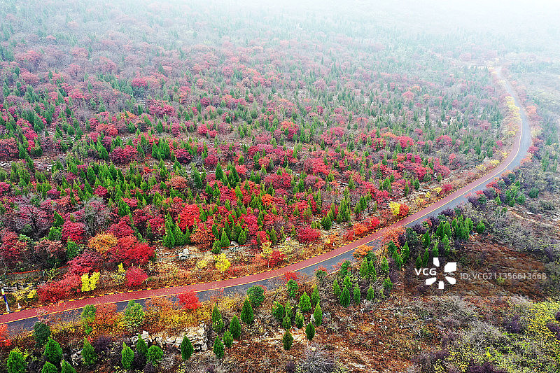 山东枣庄凤凰绿道沿线秋景如画图片素材