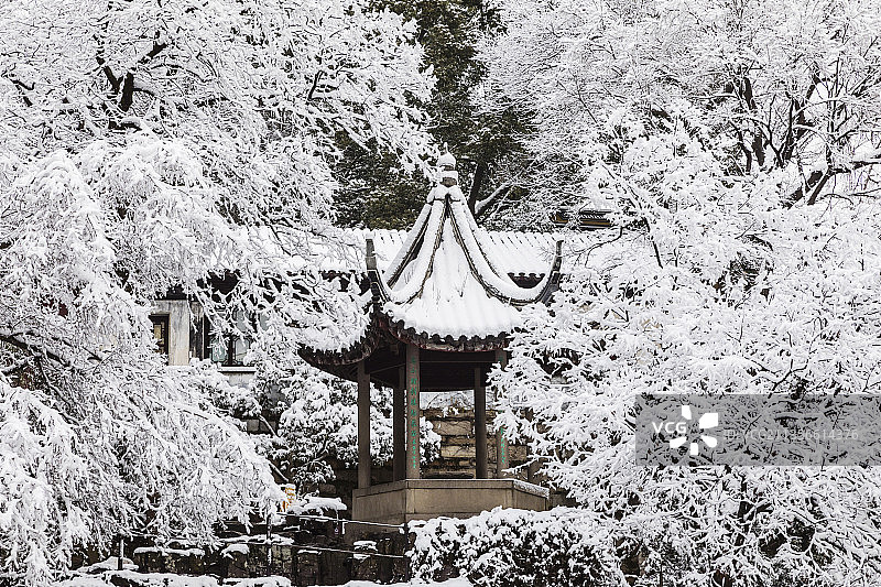 江苏苏州虎丘冬季雪景图片素材