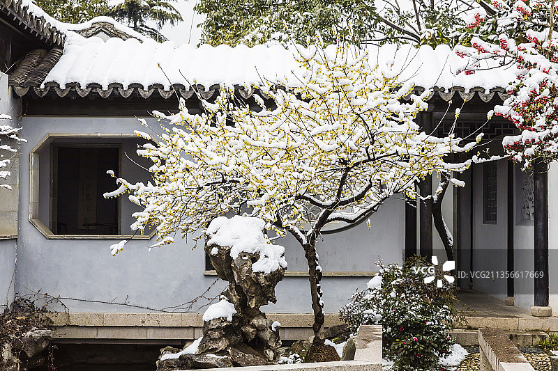 江苏苏州木渎古镇严家花园冬季雪景图片素材