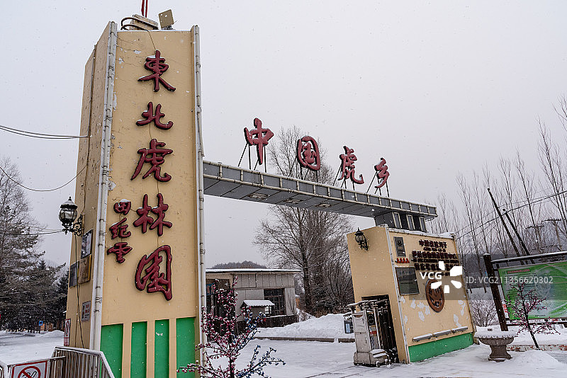 中国黑龙江省牡丹江市横道河子东北虎林园正门图片素材