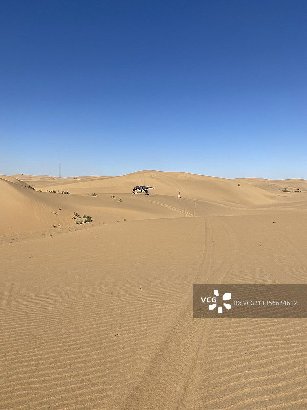 蓝天映衬下的沙漠风光图片素材