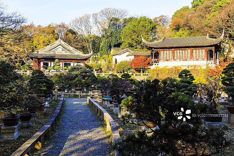 江苏苏州虎丘万景山庄秋天图片素材