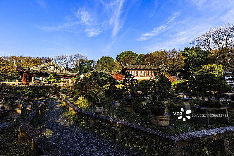 江苏苏州虎丘万景山庄秋天图片素材