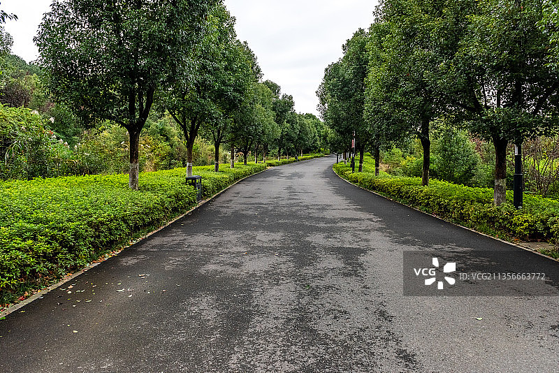 多云天气的公路图片素材