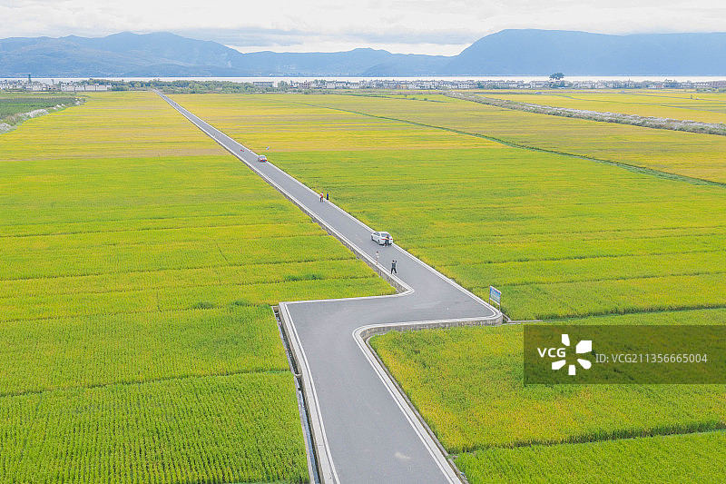 秋天大理喜洲稻田图片素材
