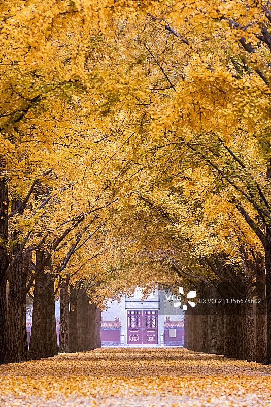 地坛之晨图片素材