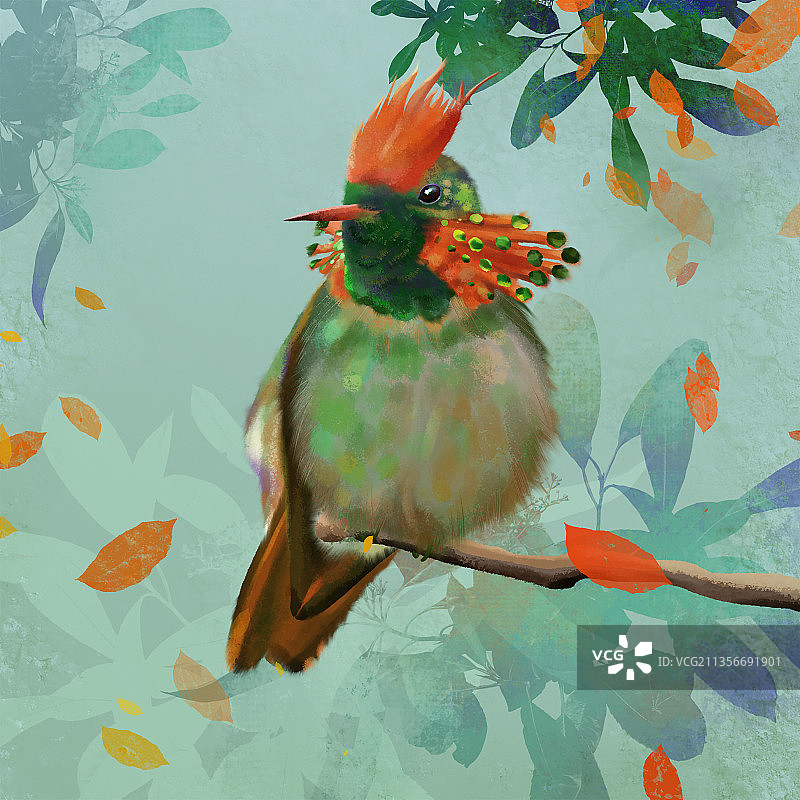 艺术插画枝头上的鸟图片素材