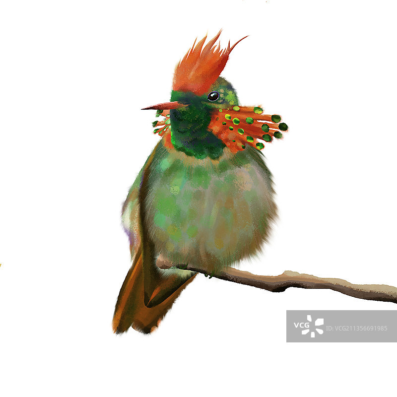 艺术插画枝头上美丽的鸟图片素材