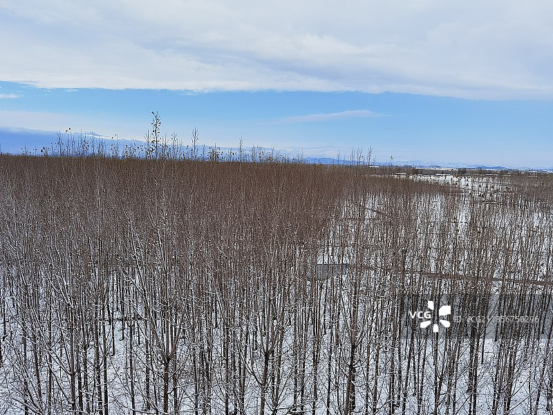 雪后的一抹景色图片素材