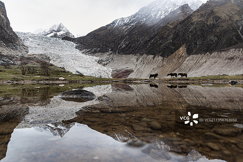 布加冰川风光图片素材