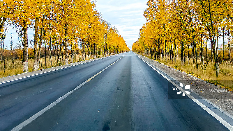 青海公路秋色图片素材