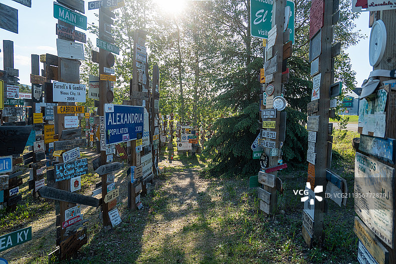 加拿大沃森湖镇的Sign Post Forest牌照森林图片素材