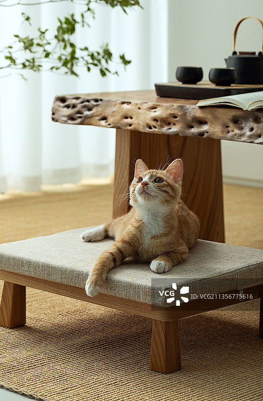 原木家居北欧中国风图片素材