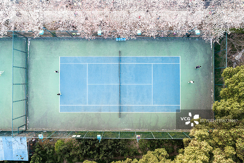 校园运动场,操场,球场,运动场,体育场,樱花图片素材