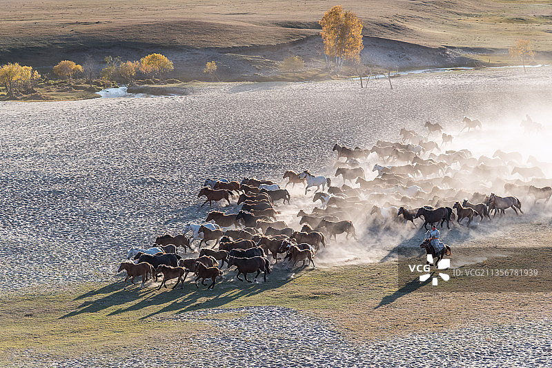 内蒙古赤峰乌兰布统草原赛马场奔跑的马群图片素材