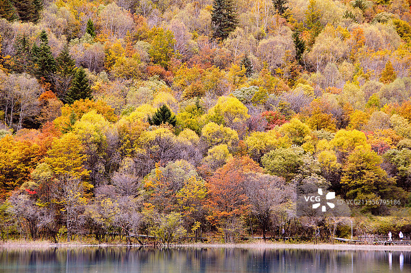 阿坝九寨天堂洲际大饭店天浴温泉图片素材