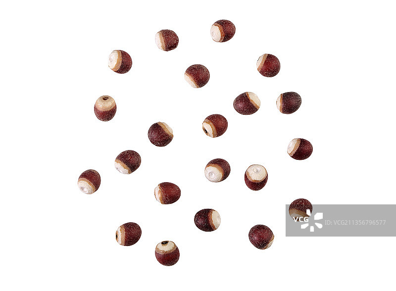 肇庆芡实图片素材