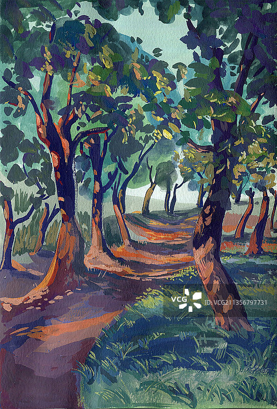 夏日傍晚树林图片素材