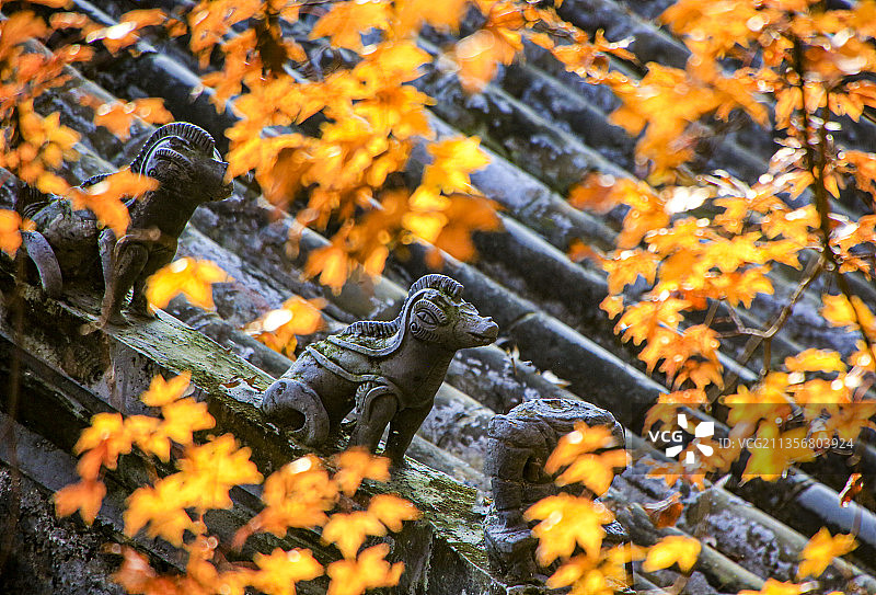 北京潭柘寺秋色图片素材