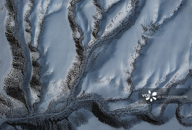 大地之树图片素材