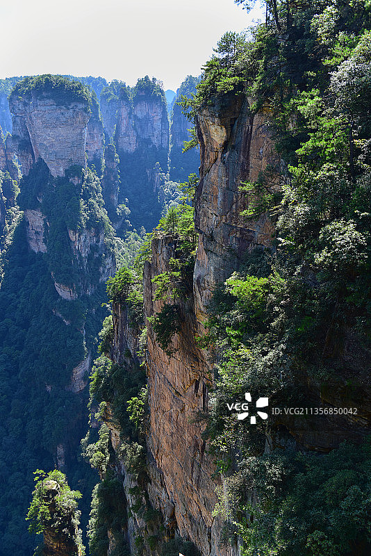 湖南省张家界市武陵源风景区袁家界乾坤柱迷魂台天下第一桥航拍图片素材