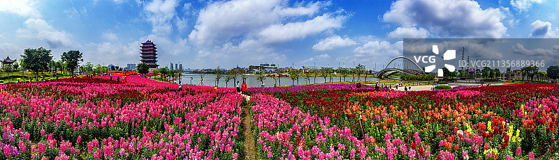 玉林园博园图片素材