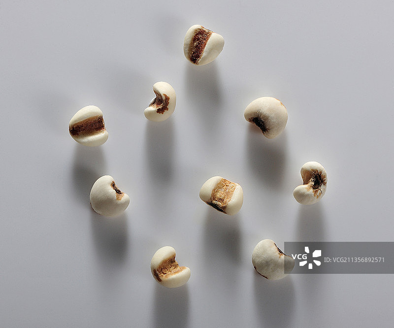 食材素材图片素材