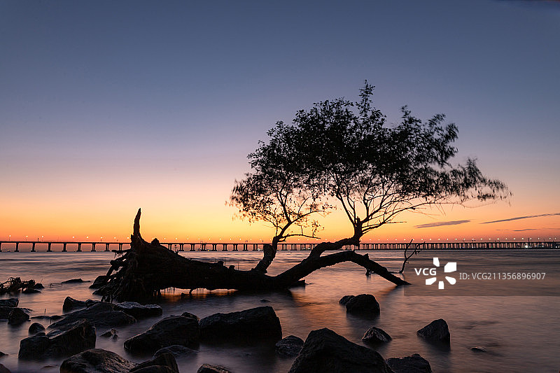 深圳西湾红树林公园蓝调时刻图片素材