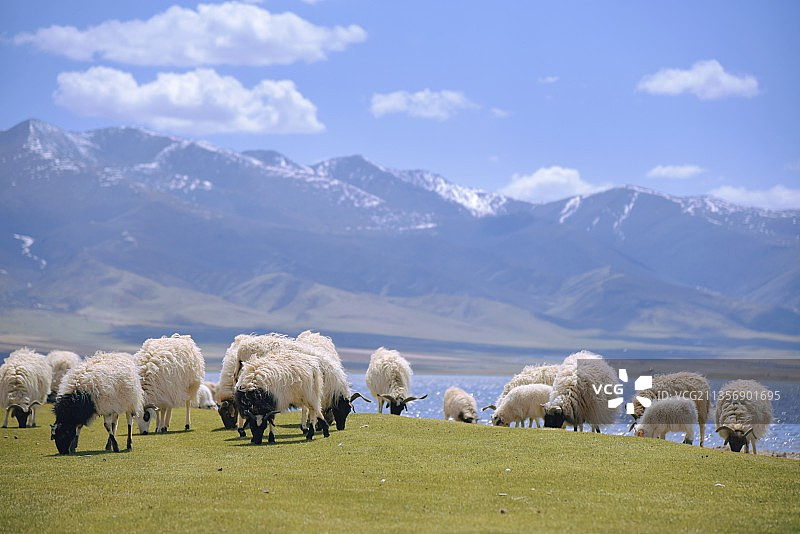 海南藏族自治州江西沟莫热宽河驿马房车度假营地图片素材