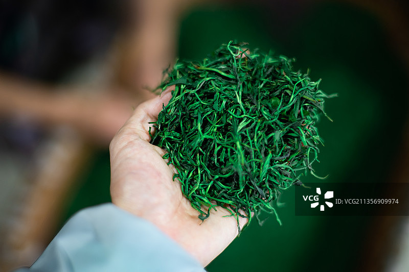 中国山东泰安茶农炒茶图片素材