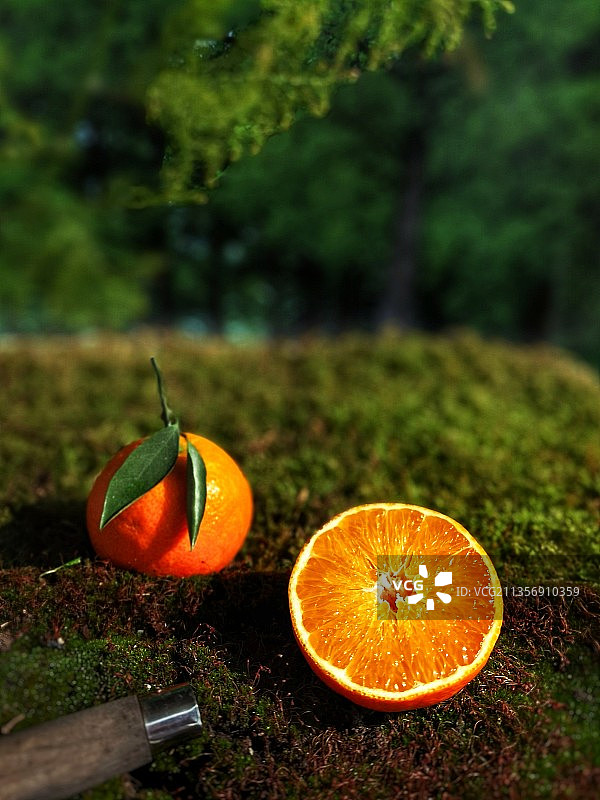 果粒橙图片素材