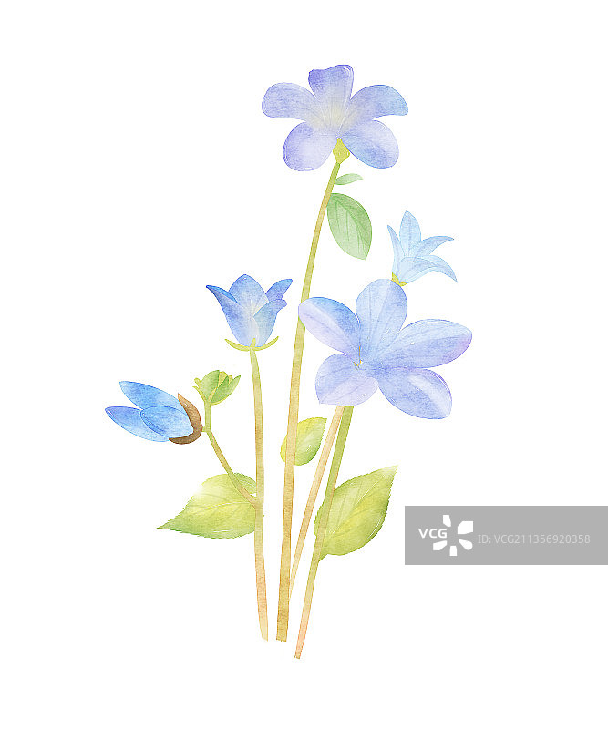 水彩插画图片素材