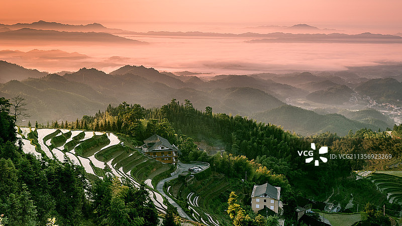 紫鹊界图片素材