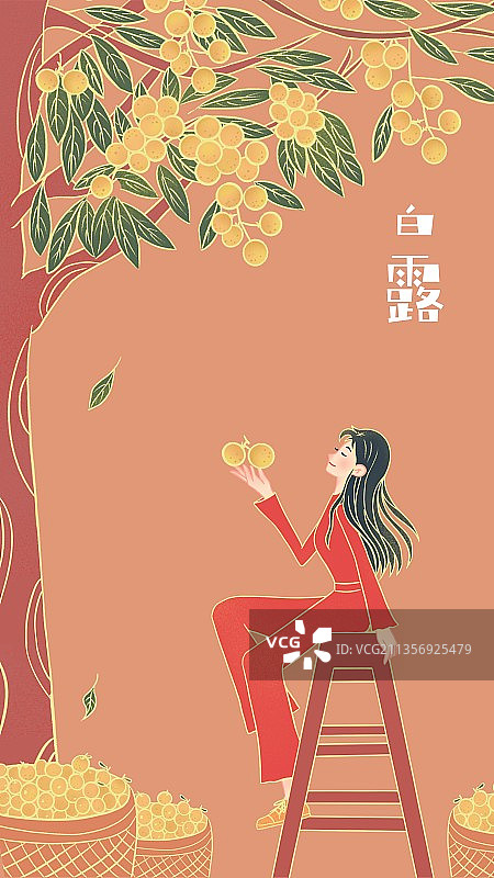 插画,植物,白露,龙眼,水果,树,节气,二十四节气,女人,图片素材