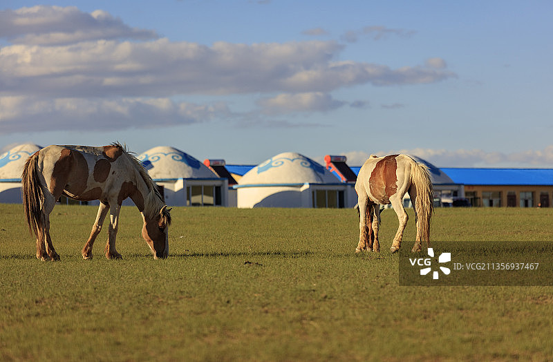 希拉穆仁大草原。图片素材