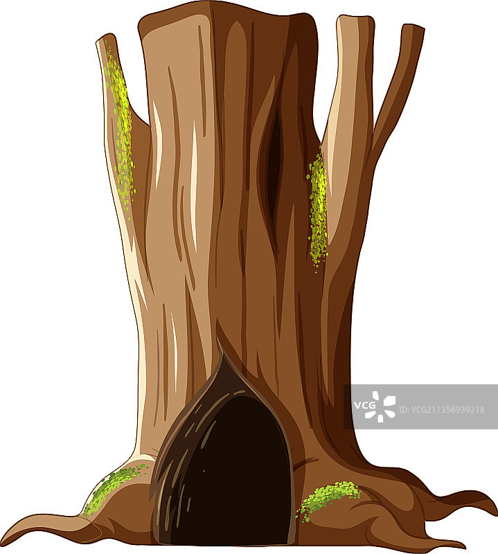 带有大树洞的树干图片素材