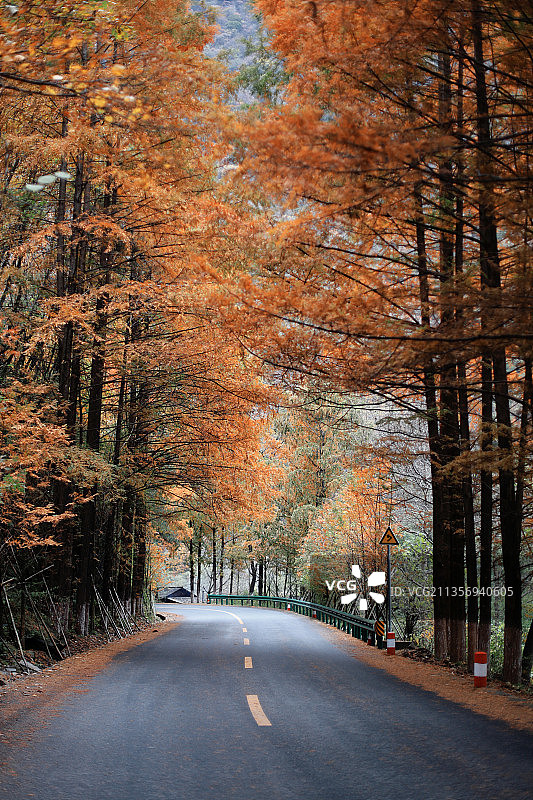 蜀道秦关 陕南与川北人文风土图片素材
